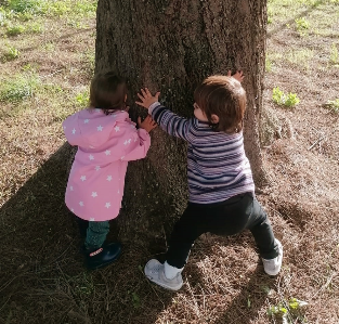 pre-escola - 2 e1729487290986 - Playgroups para famílias com crianças dos 0 aos 3 (Liteiros, Torres Novas)